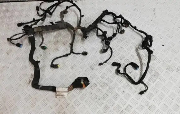 Citroen C3 Aircross Other wiring loom 9821359180