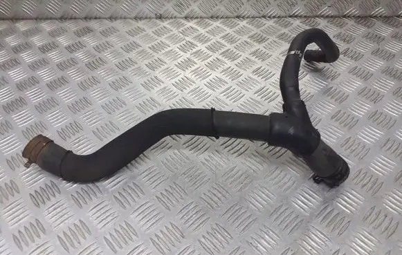Renault Scenic I Engine coolant pipe/hose