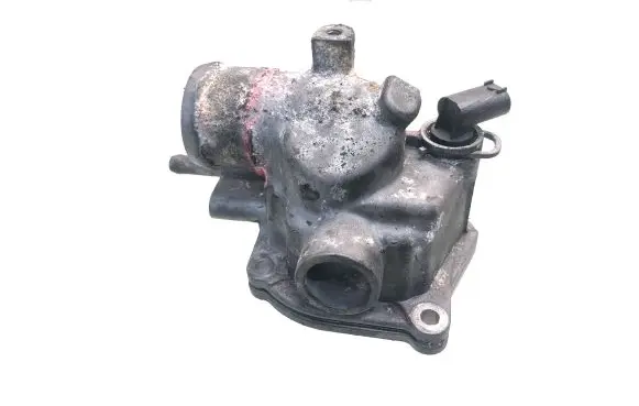 Thermostat/thermostat housing