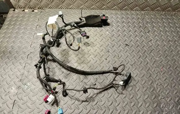 Maserati Quattroporte Front door wiring loom 06700075490 6700075490