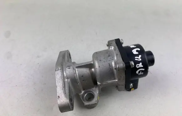 EGR valve