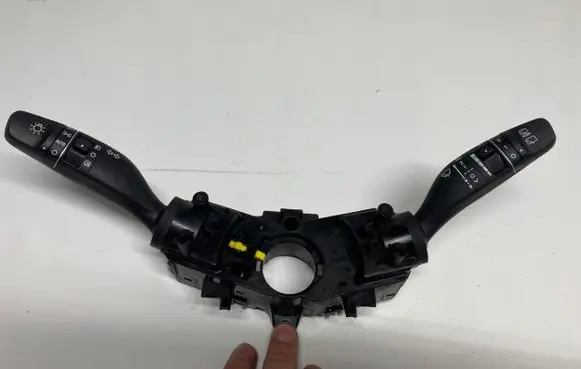 Fog light switch