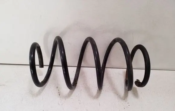 Rear coil spring