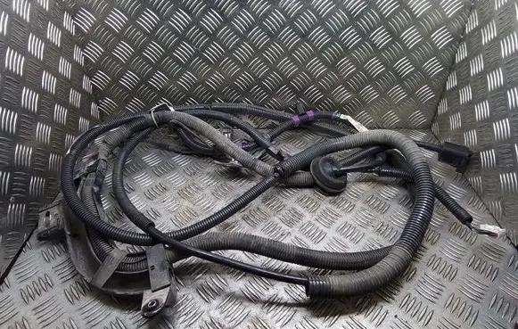 Lexus RX 450H Positive cable (battery) 821H148010