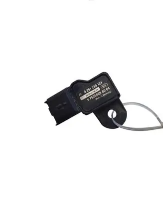 Peugeot 5008 Air pressure sensor 0261230134 V75350698004