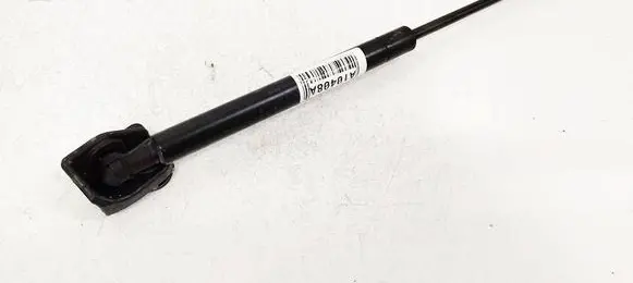 Tailgate/trunk strut/damper