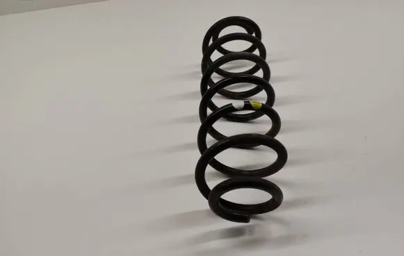 Rear coil spring