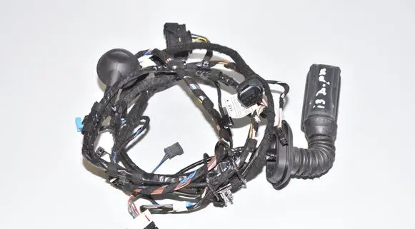 Front door wiring loom