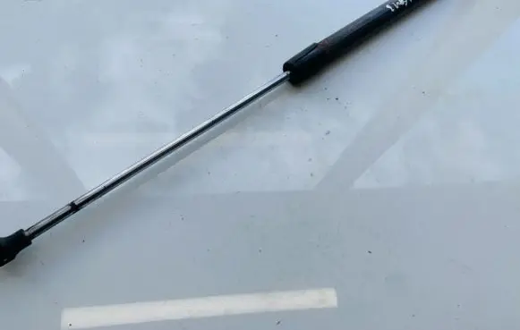 Renault Laguna III Tailgate/trunk strut/damper 844300004r