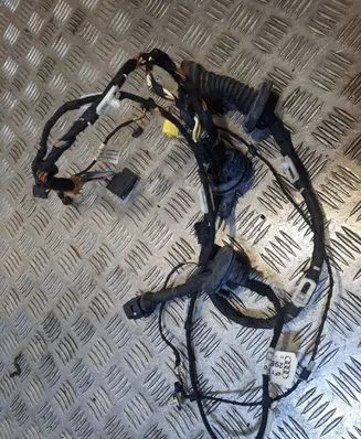 Audi A6 S6 C6 4F Front door wiring loom 4F1971029BT
