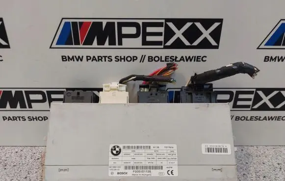BMW 5 F10 F11 Tailgate/trunk control unit/module 7317514
