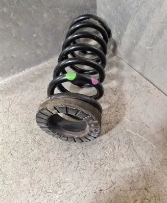 Rear coil spring