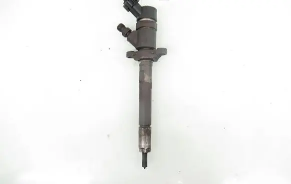 Citroen C4 I Fuel injector 0445110239