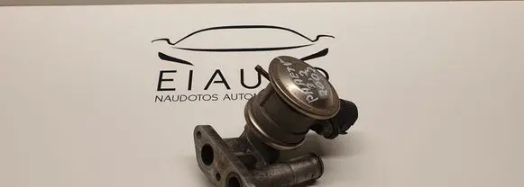 Volkswagen Phaeton EGR valve 022131119B 021131101F 72228601