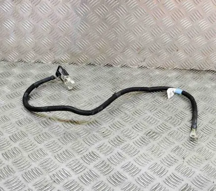 Tesla Model S Negative earth cable (battery) 103227400P