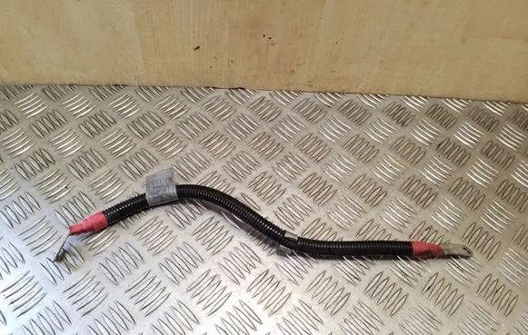 BMW X6 E71 Other wiring loom 7793200