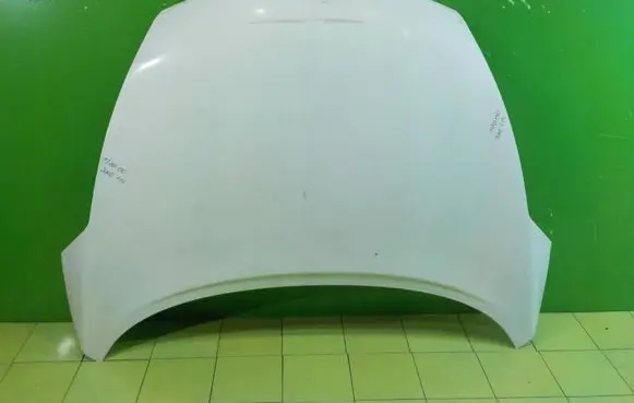 Nissan Juke I F15 Engine bonnet/hood 17AB150