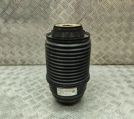 Mercedes-Benz GLS X167 Rear air suspension bag/shock absorber A1673200025
