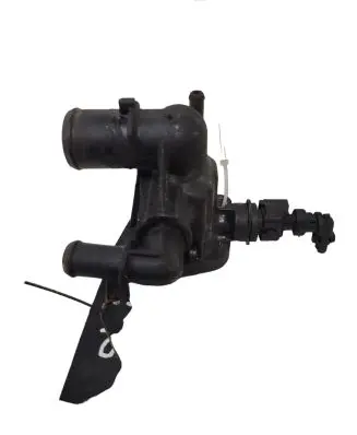 Thermostat/thermostat housing