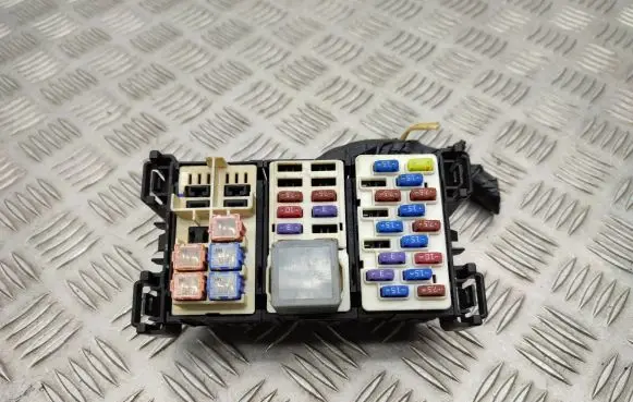 Ford Ecosport Fuse module