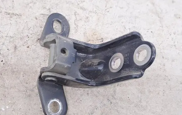 Rear door lower hinge