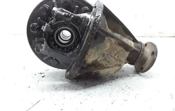 Nissan Terrano Rear differential