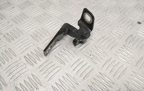 Ford Mach-E I Rear door lower hinge