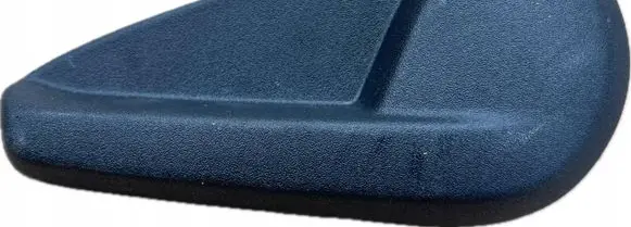 Dodge Charger Seat trim L0202151