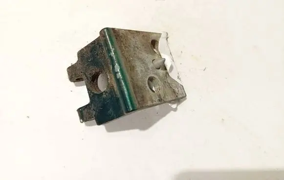 Rear door lower hinge