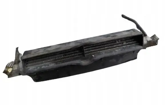 Mercedes-Benz S W220 Engine oil radiator 