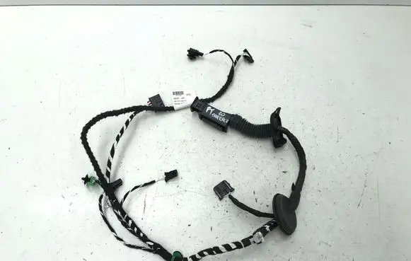 Rear door wiring loom