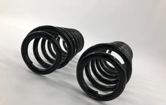 Rear coil spring