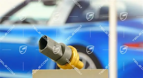 Porsche Cayenne (9PA) Coolant temperature sensor 95510612501