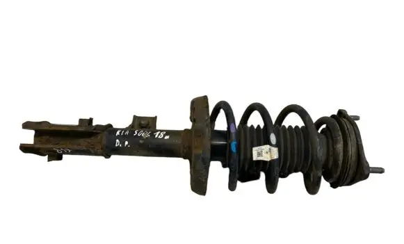 KIA Soul Front shock absorber with coil spring 54660E4040