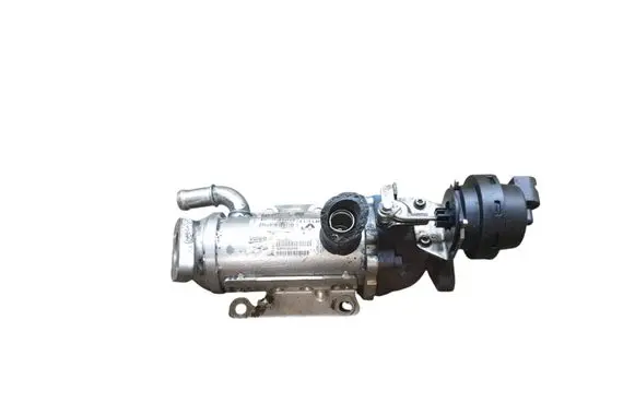 Renault Espace - Grand espace IV EGR valve cooler 8200505490 880255X