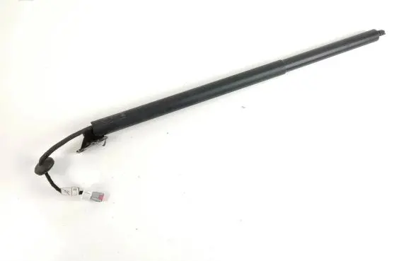 Tailgate strut