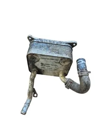 Audi A4 S4 B7 8E 8H Engine oil radiator 079117021M
