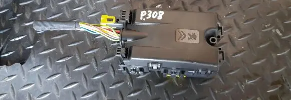Peugeot 308 Fuse box set 9806192580