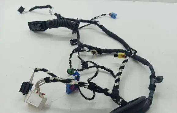 Volkswagen Tiguan Front door wiring loom 5NC971161DH