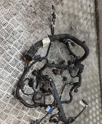 Peugeot 508 II Engine installation wiring loom 9834202280