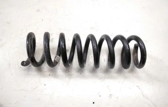 Rear coil spring