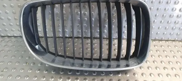 BMW 1 E82 E88 Front grill 7166440