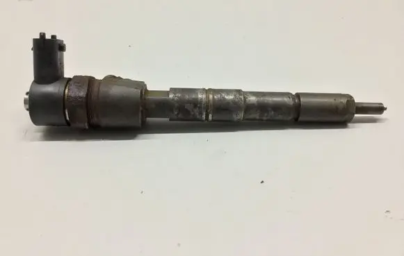 Opel Signum Fuel injector 0445110243