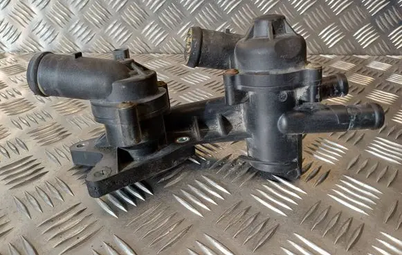Thermostat/thermostat housing