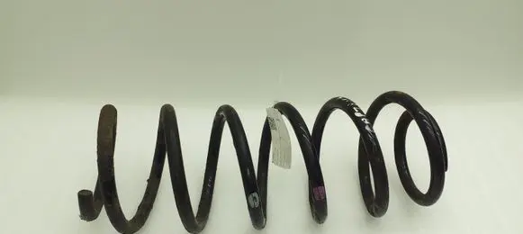 Chevrolet Captiva Front coil spring