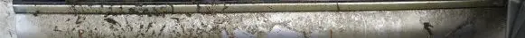Mazda Xedos 6 Front door glass trim molding 