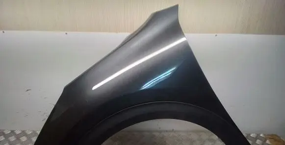 KIA Niro Fender