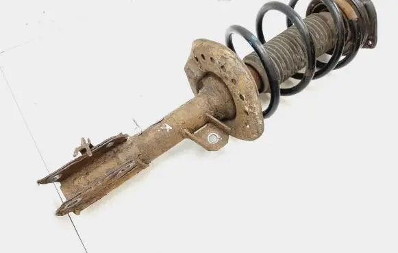 Nissan Qashqai Front shock absorber/damper 54303JD01A 824903002933