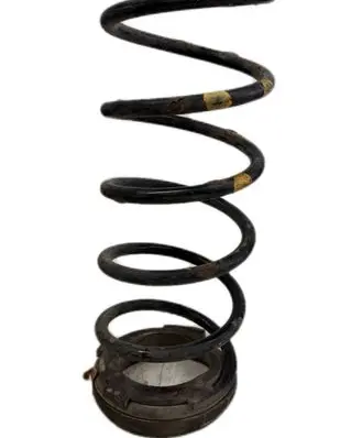 Hyundai i20 (PB PBT) Rear coil spring 553311J000 553301J100