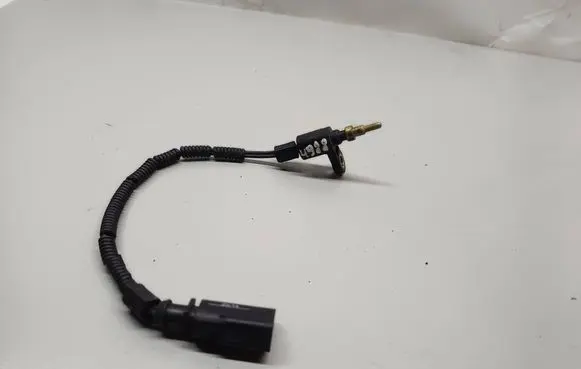 Porsche Cayenne (92A) Coolant temperature sensor 03H919501A